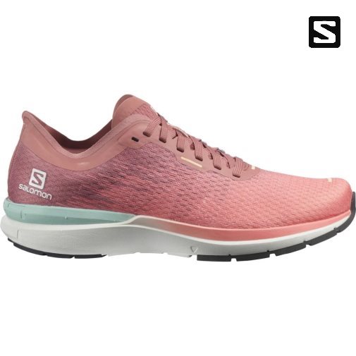 Coral Salomon Sonic 4 Accelerate Women's Running Shoes | IE HD3416